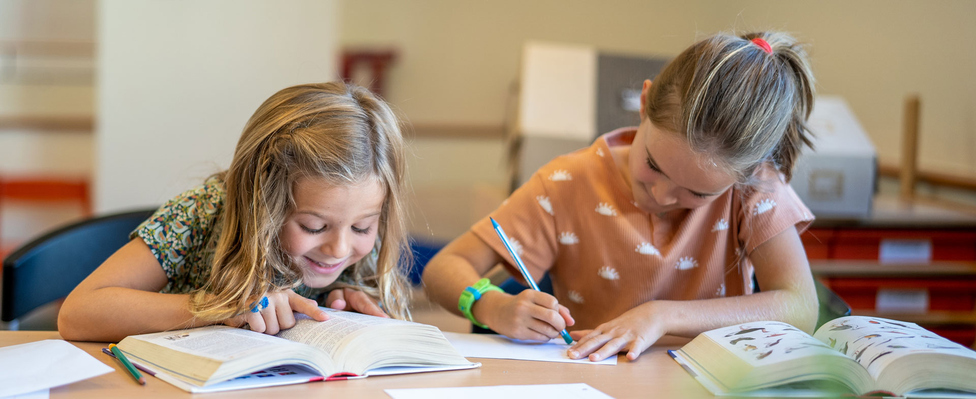 Ecolint, La Grande Boissière, Ecole primaire Ecolint, La Grande Boissière, Ecole primaire