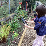 Student observing nature