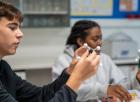 Students in science class